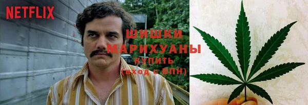 гидропоника Балабаново