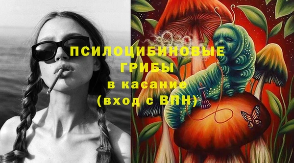крисы Белокуриха