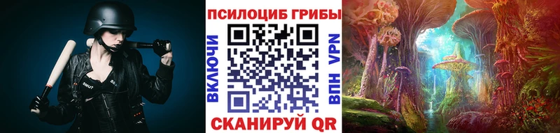 как найти   Городец  Галлюциногенные грибы мицелий 