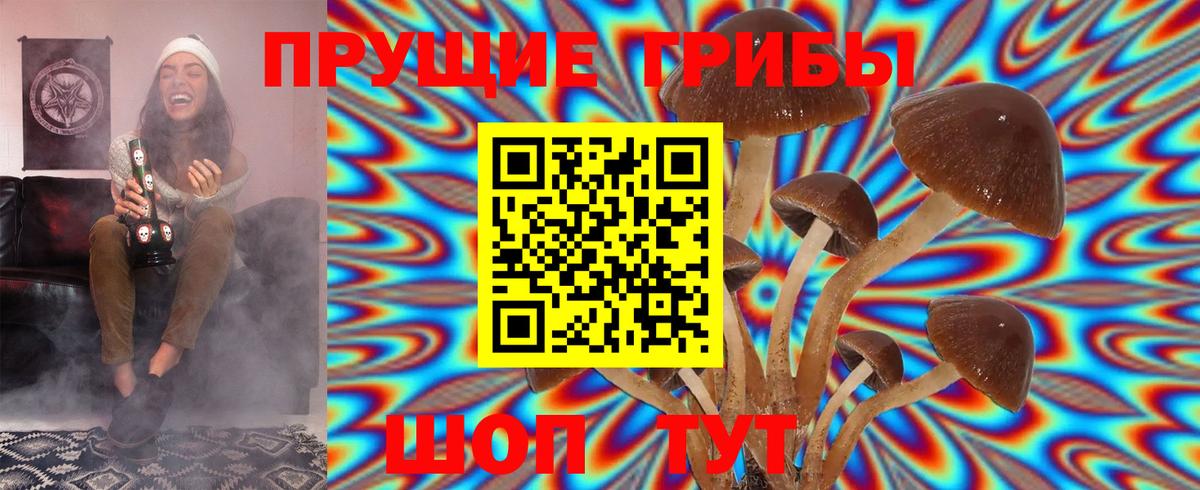 Псилоцибиновые грибы мухоморы  Городец  Галлюциногенные грибы мухоморы 