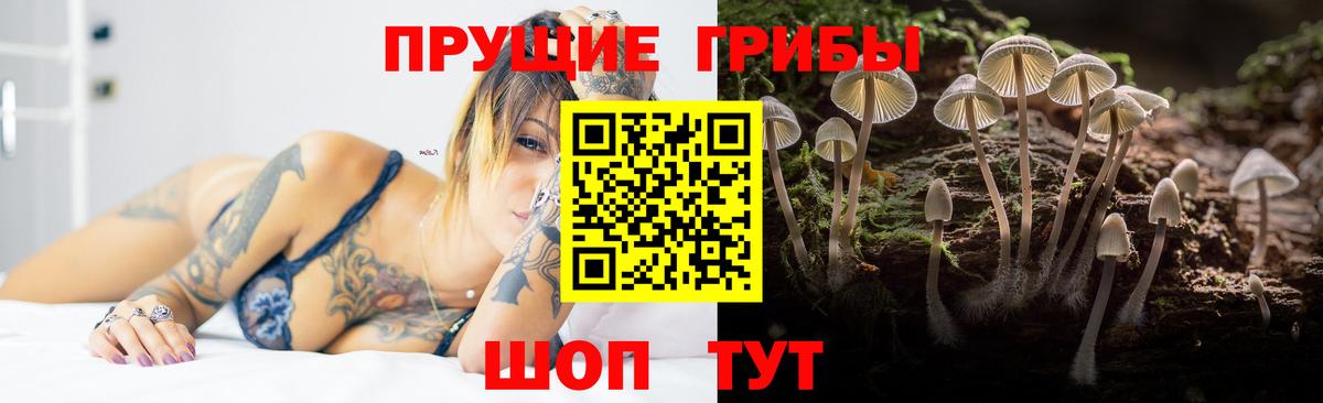 Псилоцибиновые грибы GOLDEN TEACHER Городец